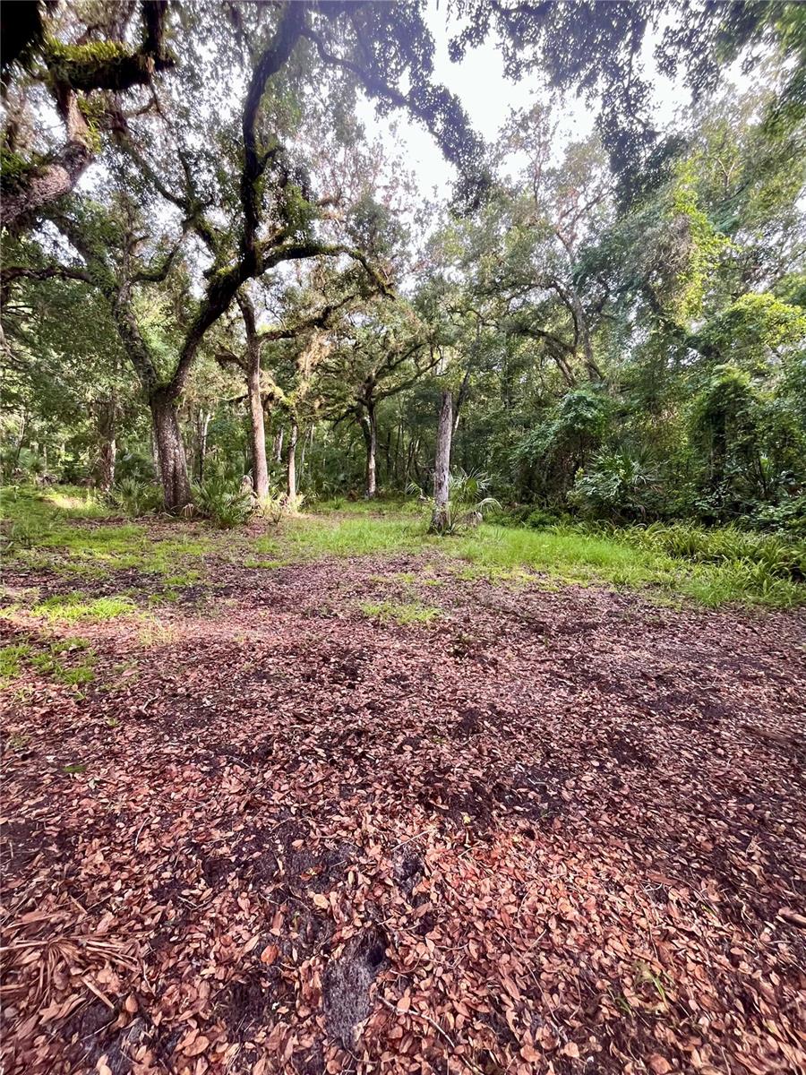 CURRYVILLE ESTATES 5 ACRE DEV 20 PARCELS - Residential