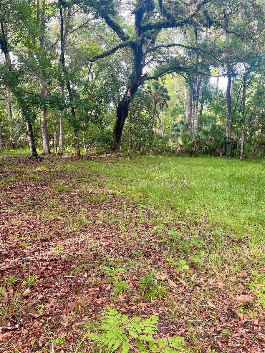 CURRYVILLE ESTATES 5 ACRE DEV 20 PARCELS - Residential
