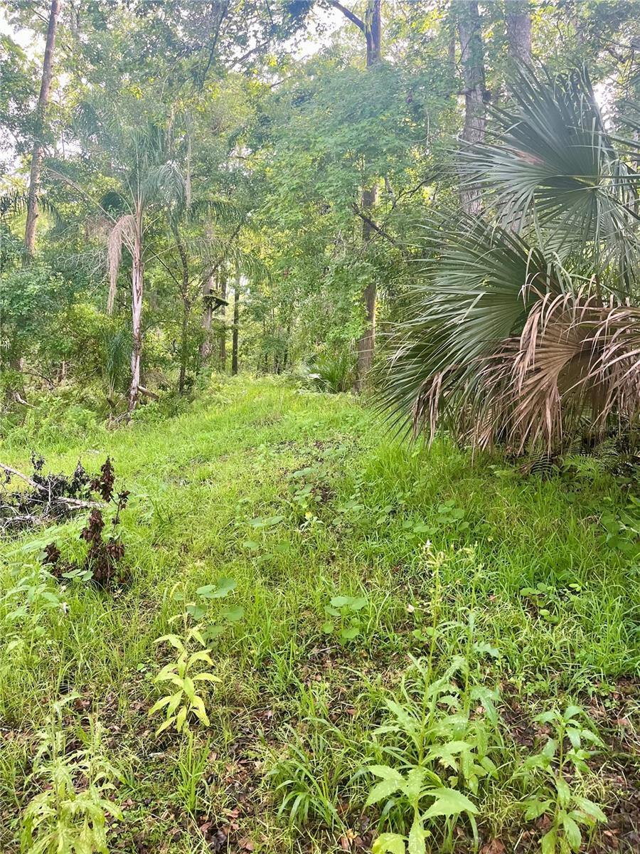 CURRYVILLE ESTATES 5 ACRE DEV 20 PARCELS - Residential