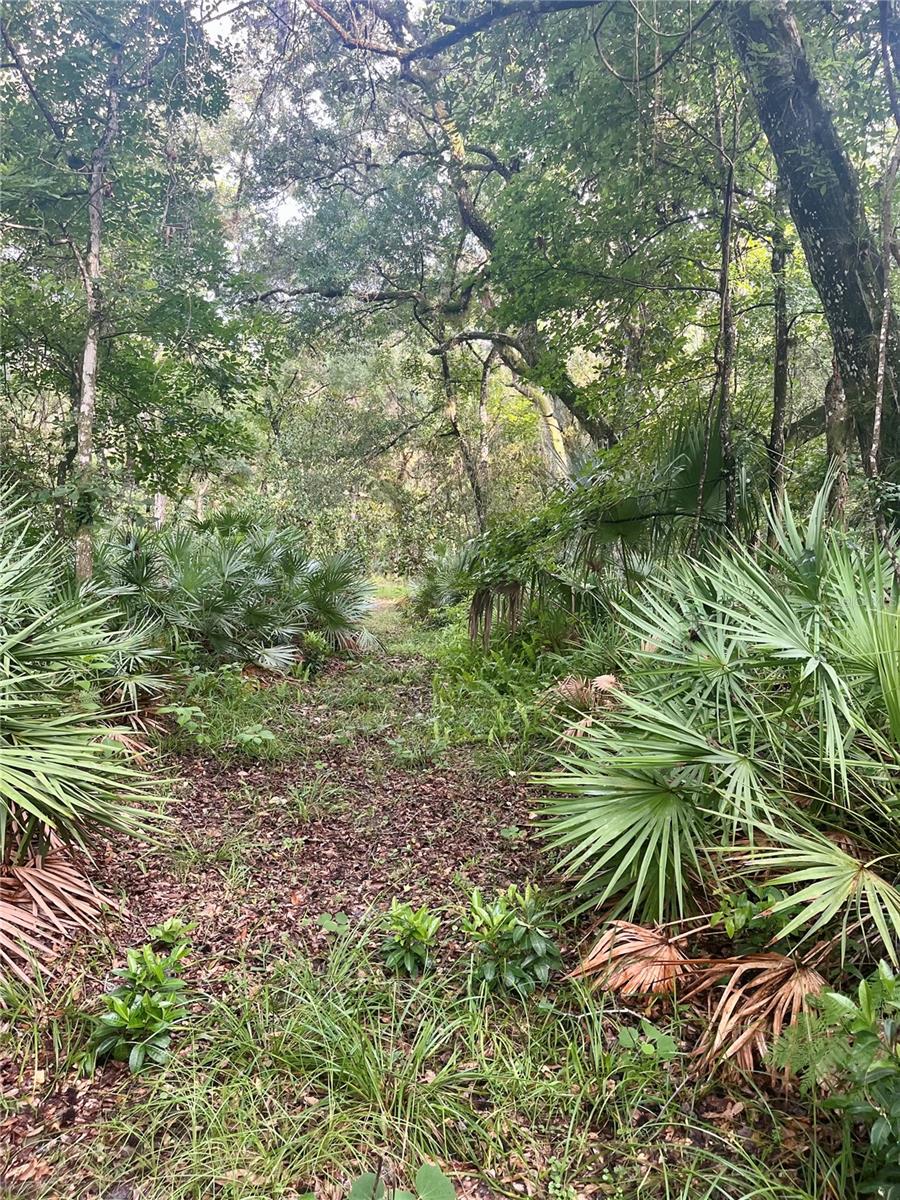 CURRYVILLE ESTATES 5 ACRE DEV 20 PARCELS - Residential