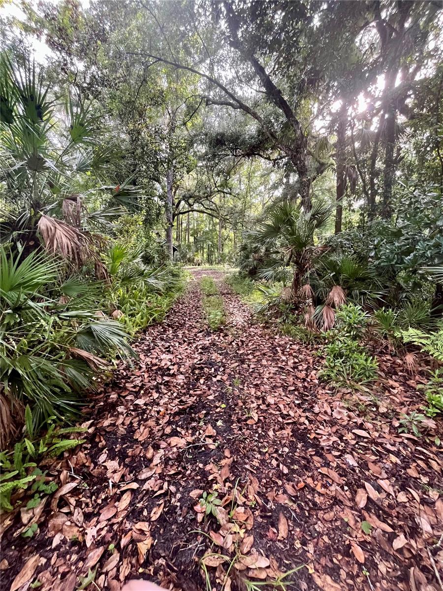 CURRYVILLE ESTATES 5 ACRE DEV 20 PARCELS - Residential