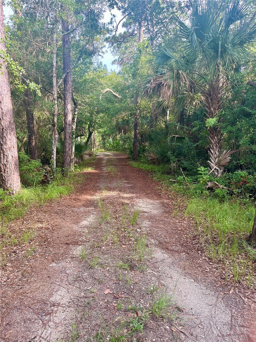 CURRYVILLE ESTATES 5 ACRE DEV 20 PARCELS - Residential
