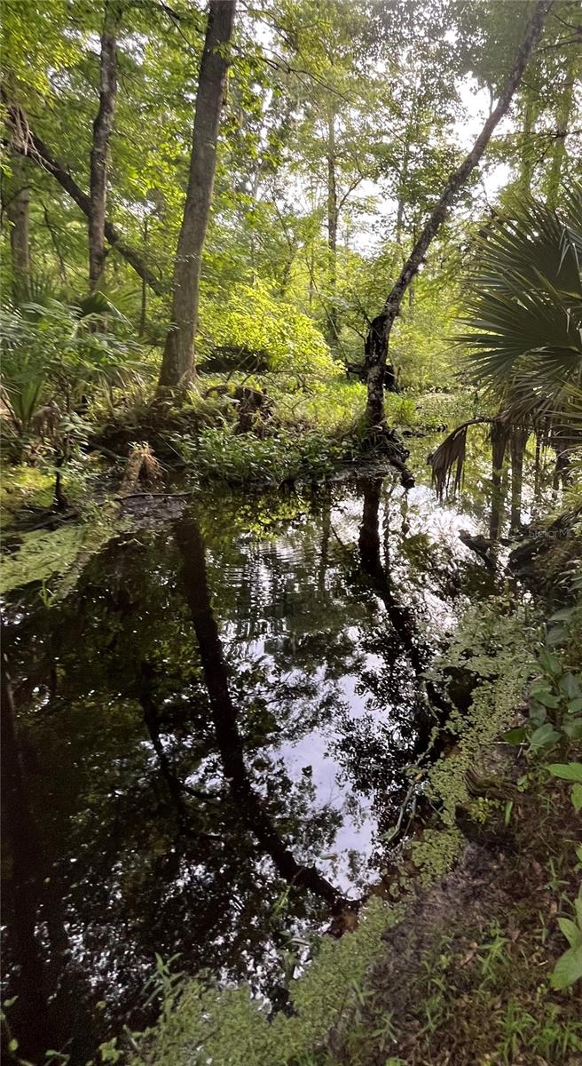 CURRYVILLE ESTATES 5 ACRE DEV 20 PARCELS - Residential