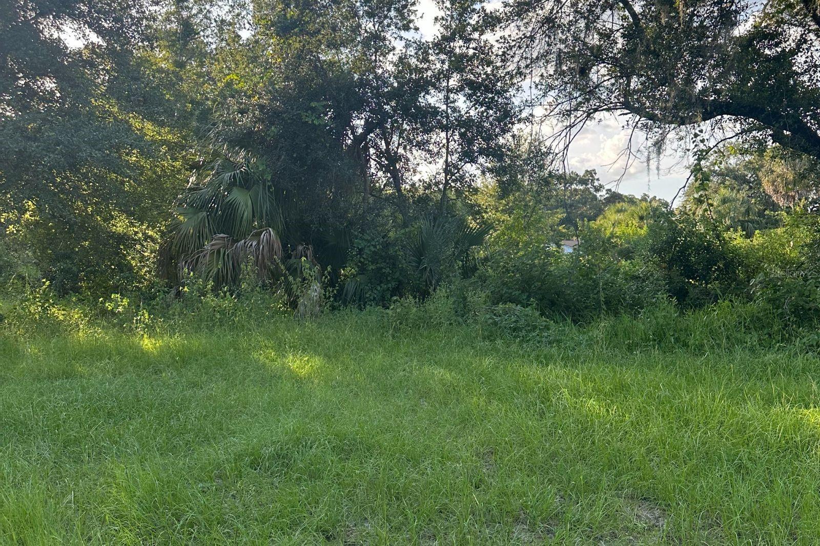 GLEN JAC OAKS - Land