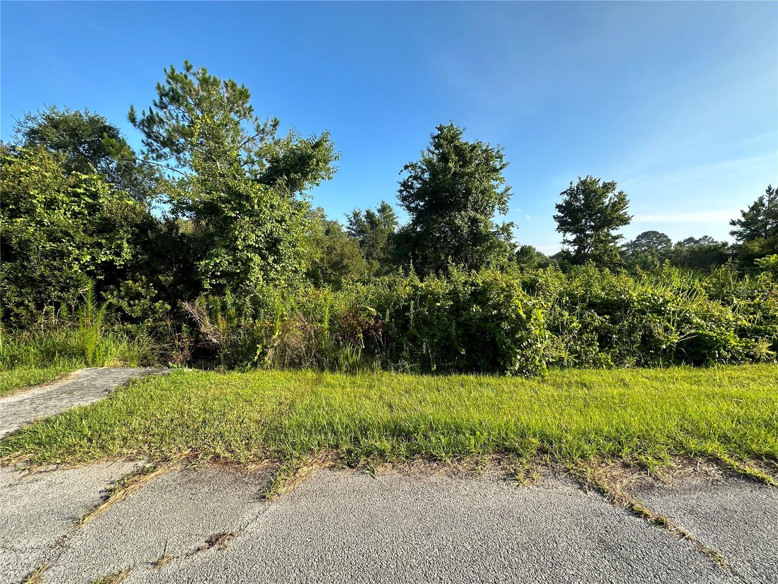 POINCIANA NBRHD 02 WEST VILLAGE 07 - Land