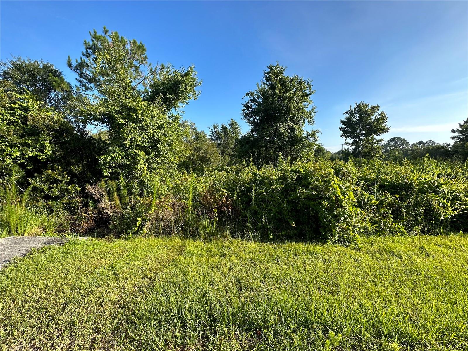 POINCIANA NBRHD 02 WEST VILLAGE 07 - Land