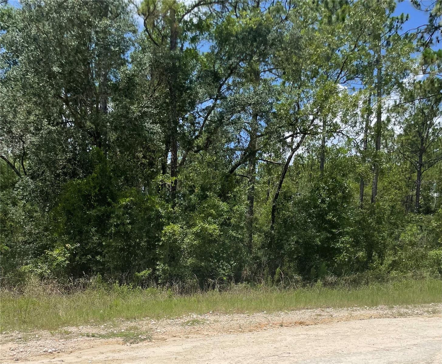 1.34 acre corner lot in Rolling Hills. surrounded by nice new homes. Your choice of shopping and dining in Ocala or Dunnellon. 20 minutes from the Rainbow Springs State Park and the Rainbow River. 18 minutes from the World Equestrain Center, and 5 minutes from Classic Mi;e Make plans to build your dream home or hold for the future. Boundary survey available. Electric prosed on SW 66th.