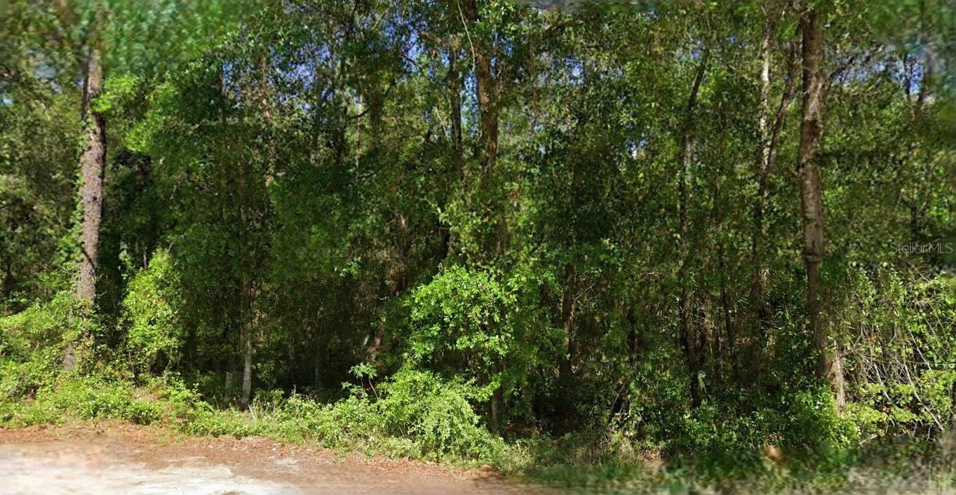 This vacant residential lot is in the Timberlane subdivision of Marion County. Positioned in the growing Ocala market, this area is known as the "Horse Capital of the World" and offers a balanced mix of peaceful residential living and proximity to world-class outdoor recreation.  Just a short drive to Silver Springs State Park for glass-bottom boat tours and Rainbow Springs for crystal-clear kayaking.  Located within reach of the World Equestrian Center, the largest equestrian complex in the United States.  Easy access to major corridors like FL Hwy 40, providing a straight shot to shopping, dining, and healthcare in downtown Ocala.  All information provided is deemed reliable but is not guaranteed and should be independently verified.