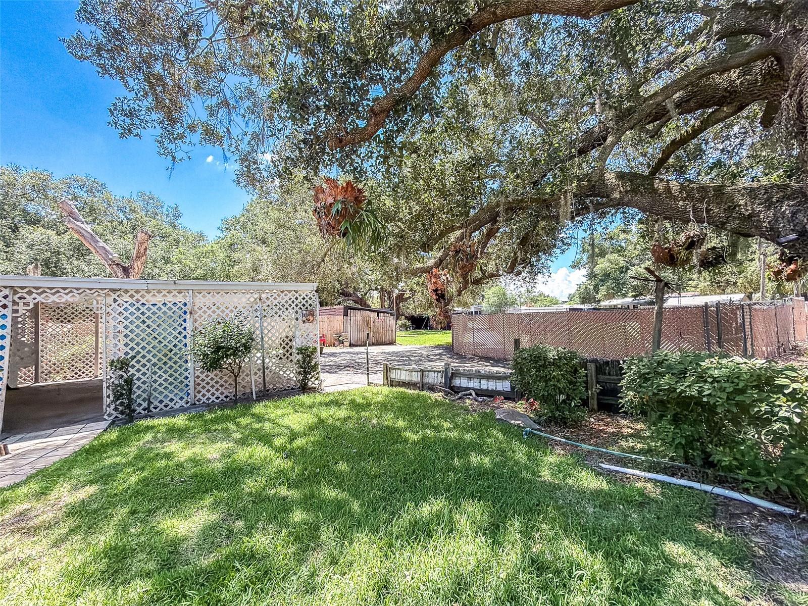 LAKE ALFRED - Residential