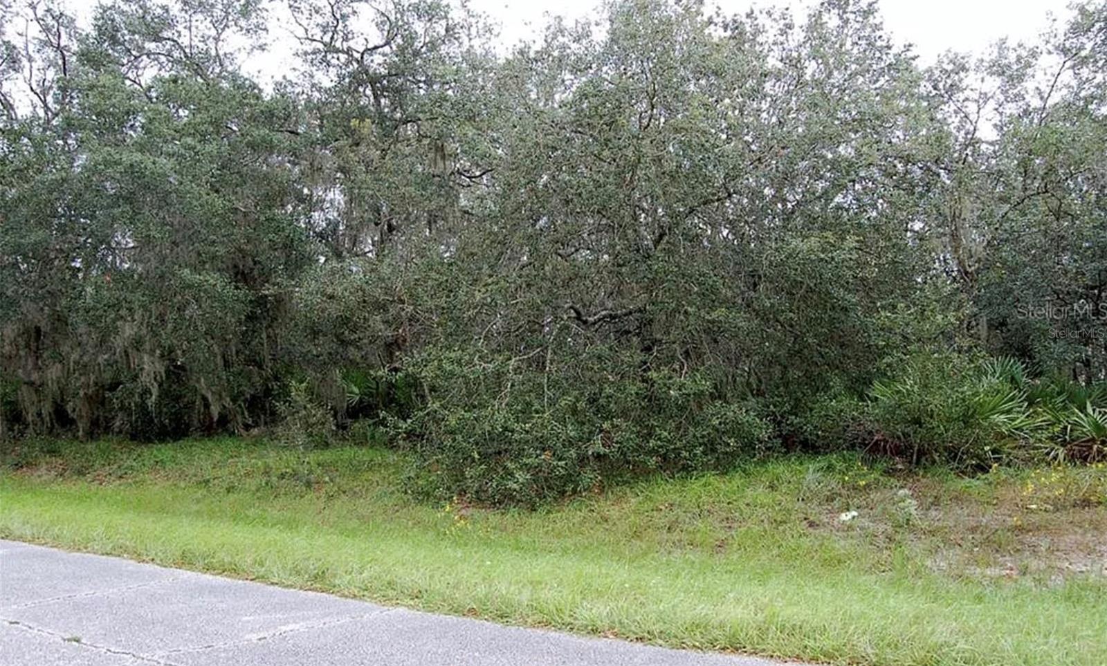 Excellent opportunity to own a residential lot in the growing community of Poinciana with public utilities available. Located at 0 St Johns Ct, this property sits on a quiet community, offering added privacy and a peaceful setting—ideal for building your future home or investment property.

Positioned in a well-established area, the lot provides convenient access to major roads, shopping centers, schools, and everyday essentials, while still maintaining a tranquil neighborhood feel. The surrounding area continues to experience steady growth, making this an attractive option for both homeowners and investors looking to secure property in an expanding market.

This is a great opportunity to build a custom home tailored to your needs in a location that balances accessibility and serenity. With ongoing development in the region and increasing demand for residential properties, this lot offers strong potential for long-term value.

Don’t miss the chance to invest in one of Central Florida’s up-and-coming communities.