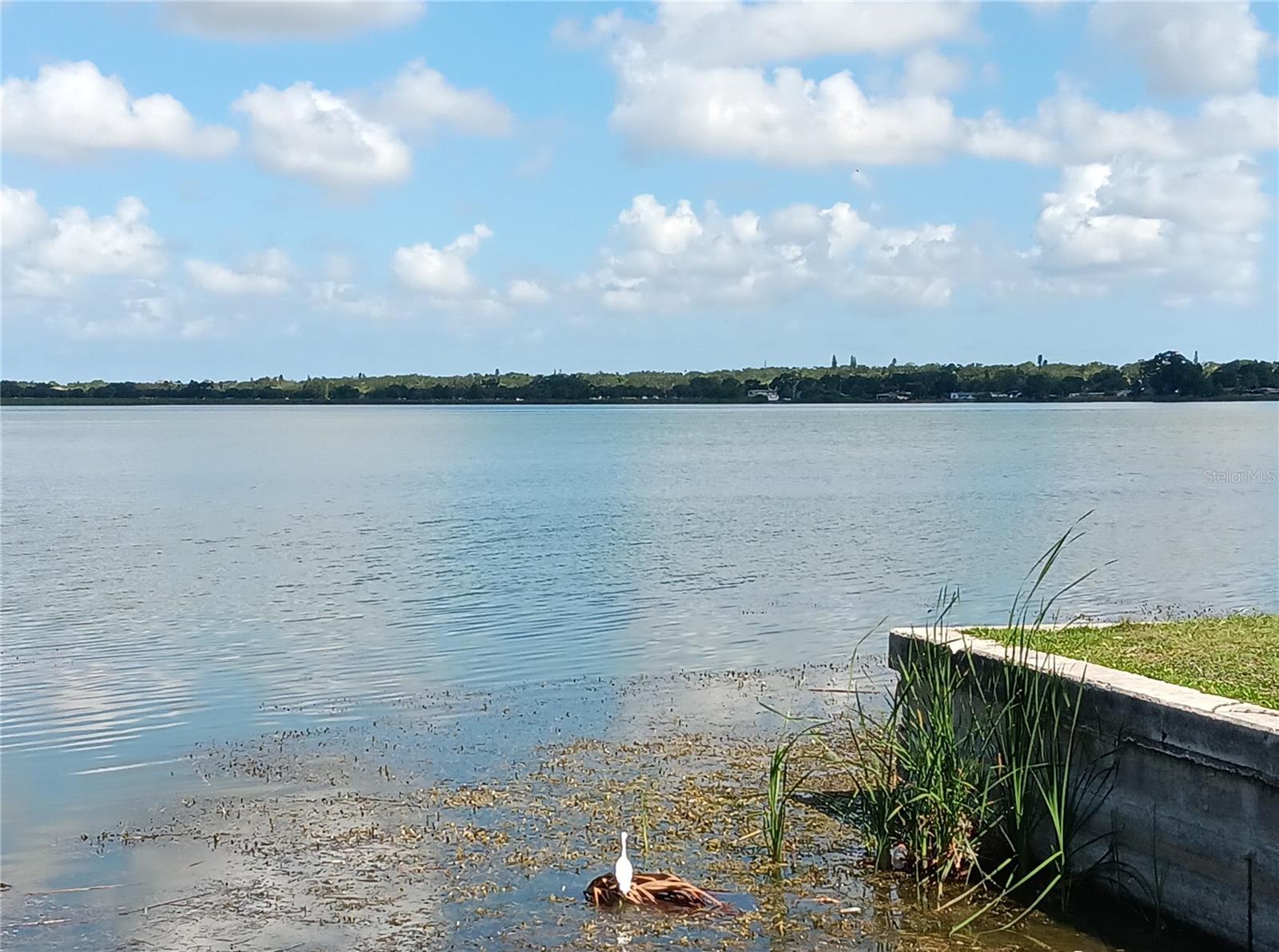 GRAND VIEW PARK REV - Residential Lease