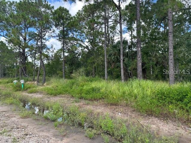 POINCIANA NBRHD 06 SOUTH VILLAGE 03 - Land
