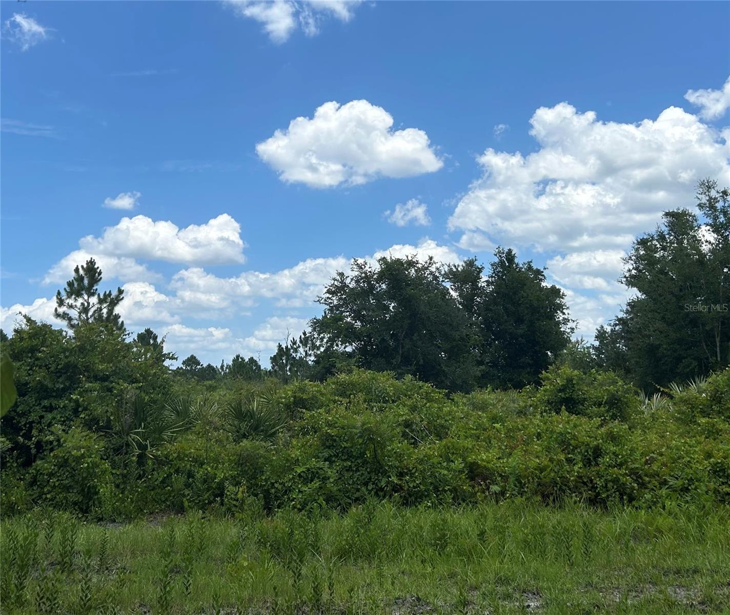 ACREAGE - Residential