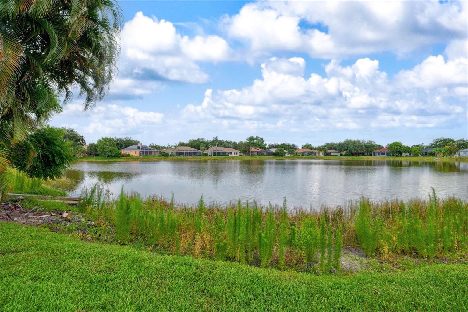 THREE OAKS - Residential