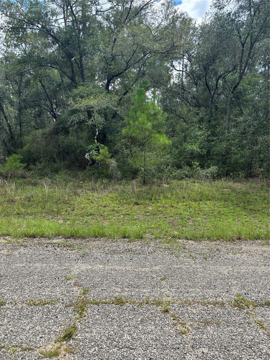 Nestled in the heart of Citrus Springs. Building allowed of 1,000-1,200 living sqft! . Located outside the flood zone, with no wetlands and no endangered species on site, this lot is shovel-ready and primed for development. DESIRABLE GOLF COURSE COMMUNITY OF CITRUS SPRINGS! City water 8-12 months out after requested service! Conveniently situated within 5 miles of numerous shopping and dining options! Enjoy easy access to golfing, the Withlacoochee State Trail, and a short 20-minute drive to Rainbow Springs State Park! Just a 16 minute drive to the Suncoast Parkway adds to the convenience! ENJOY COMMUNITY AMENITIES, TENNIS COURTS, BIKE TRAIL AND MUCH MORE. ELECTRICITY AVAILIBLE FOR BUILDING NOW OR FUTURE. LOTS OF HOMES NEAR HOMESITE. Seller is a license agent. Buyers and agents should verify schools, utilities, all important details.