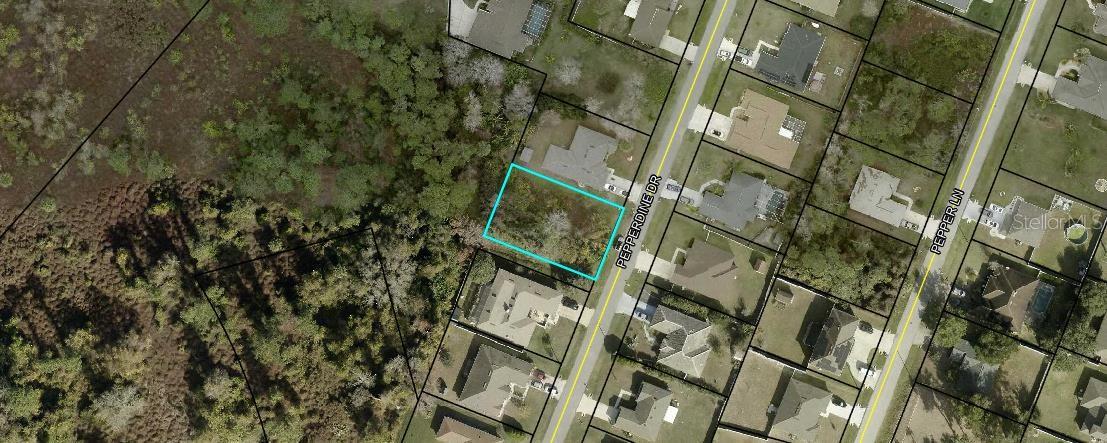 Nice 10,000 sf Single Family Home Site situated in the Belle Terre area of Palm Coast - Great Location - Backs to open land that is owned by the City - Close to schools and shopping - Located close to I95 and Hwy 1 for the commuter - 20 minutes to Flagler Beach - Flagler Palm Coast High School district and within biking distance to the Elementary and Middle schools - Priced to Sell - Won't Last - Unbelievable !!!