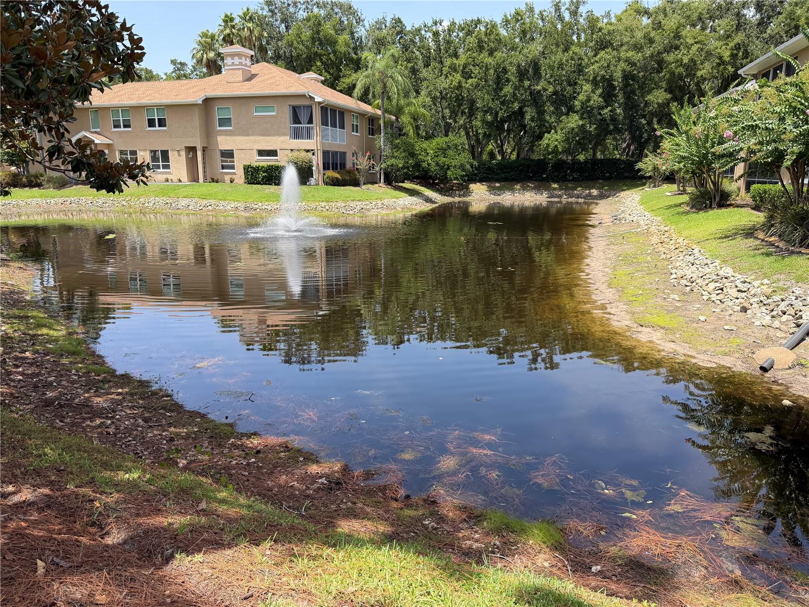 PRESERVE AT LANSBROOK CONDO THE - Residential Lease