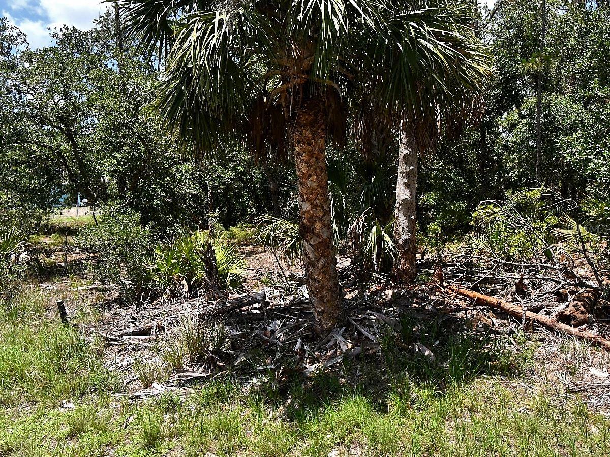 Excellent opportunity to acquire a residential lot in a quiet and desirable area of North Port, Florida. Ideal for building your dream home or as an investment property, this lot offers a peaceful setting while remaining close to everyday conveniences.
North Port is one of the fastest-growing cities in Sarasota County, known for its natural beauty, parks, golf courses, and access to attractions such as Warm Mineral Springs and the Myakka River. Residents enjoy proximity to shopping, dining, healthcare facilities, and schools, along with convenient access to major roadways connecting to Sarasota, Fort Myers, and Tampa.
Outdoor enthusiasts will appreciate the easy access to nearby beaches, nature preserves, and recreational areas, making this location perfect for those seeking a balance between tranquility and an active Florida lifestyle.
With unbeatable advantages: no HOA, no CDD, no Scrub Jay zone (per the Sarasota County Property Appraiser website as of 05/05/26, please reconfirm during due diligence), and an environmental study already completed (available upon request).
A great opportunity for builders, investors, or end-users looking to secure a property in a rapidly growing and highly desirable market.