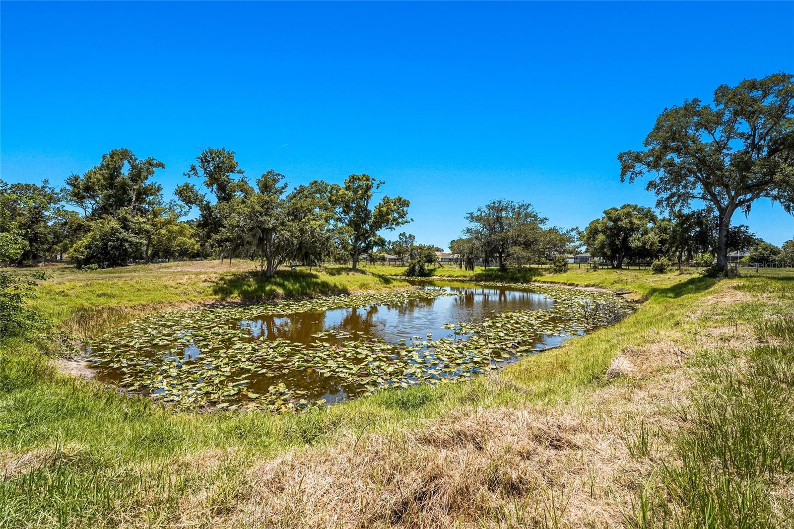 SARASOTA PLANTATIONS - Residential