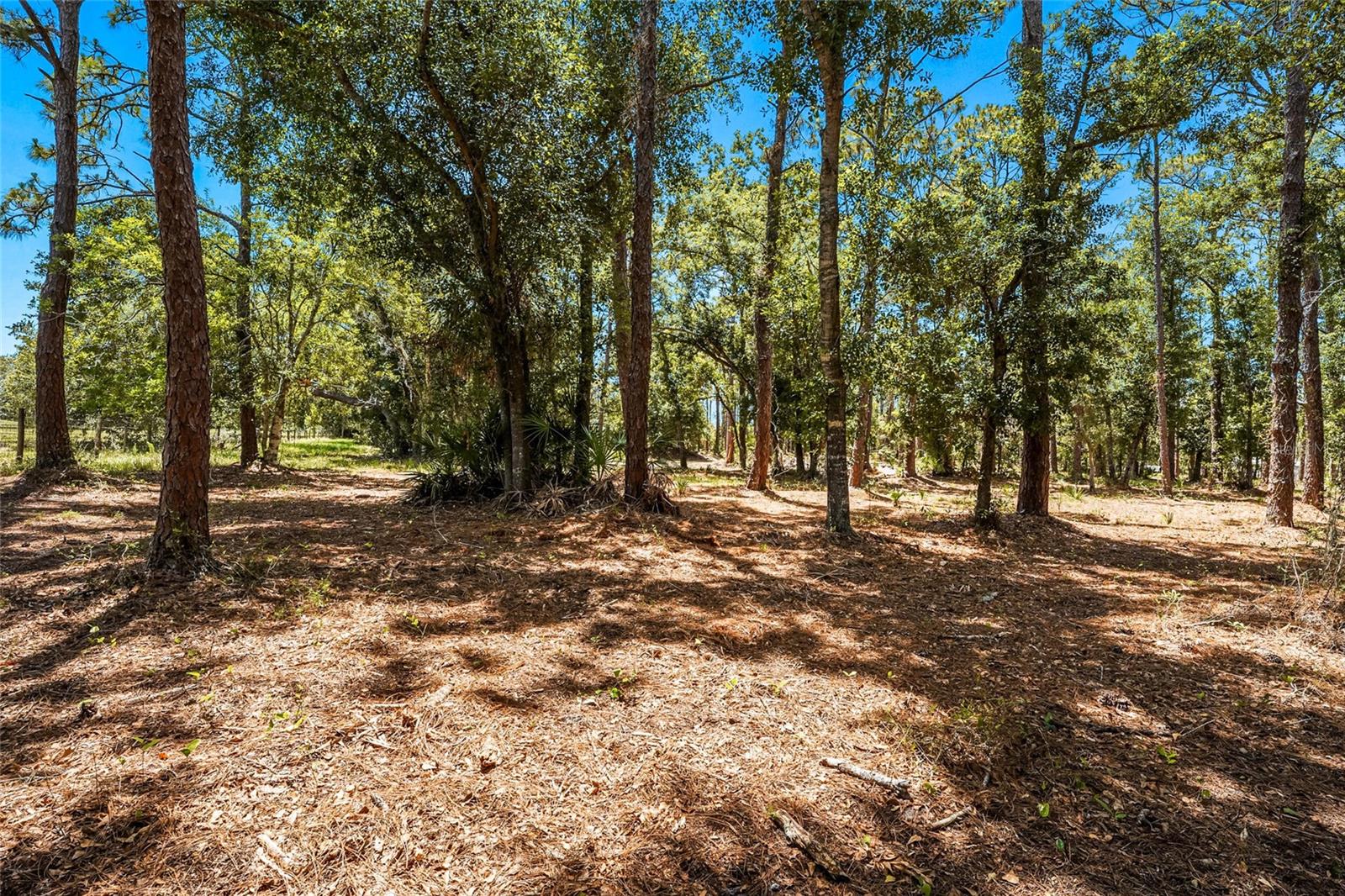 SARASOTA PLANTATIONS - Residential