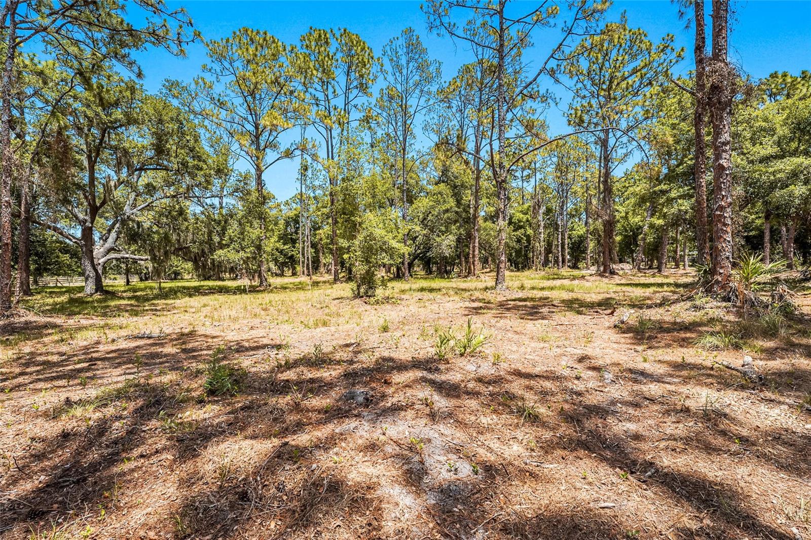 SARASOTA PLANTATIONS - Residential
