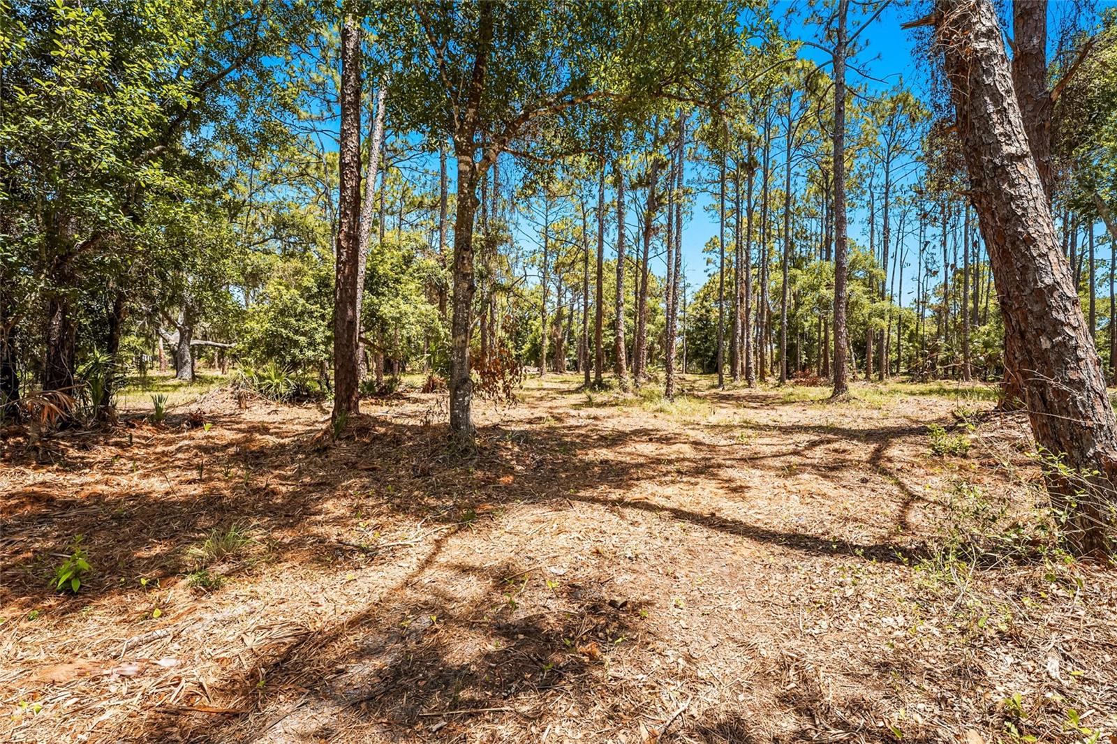 SARASOTA PLANTATIONS - Residential