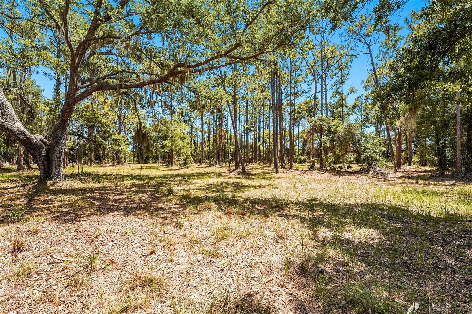 SARASOTA PLANTATIONS - Residential