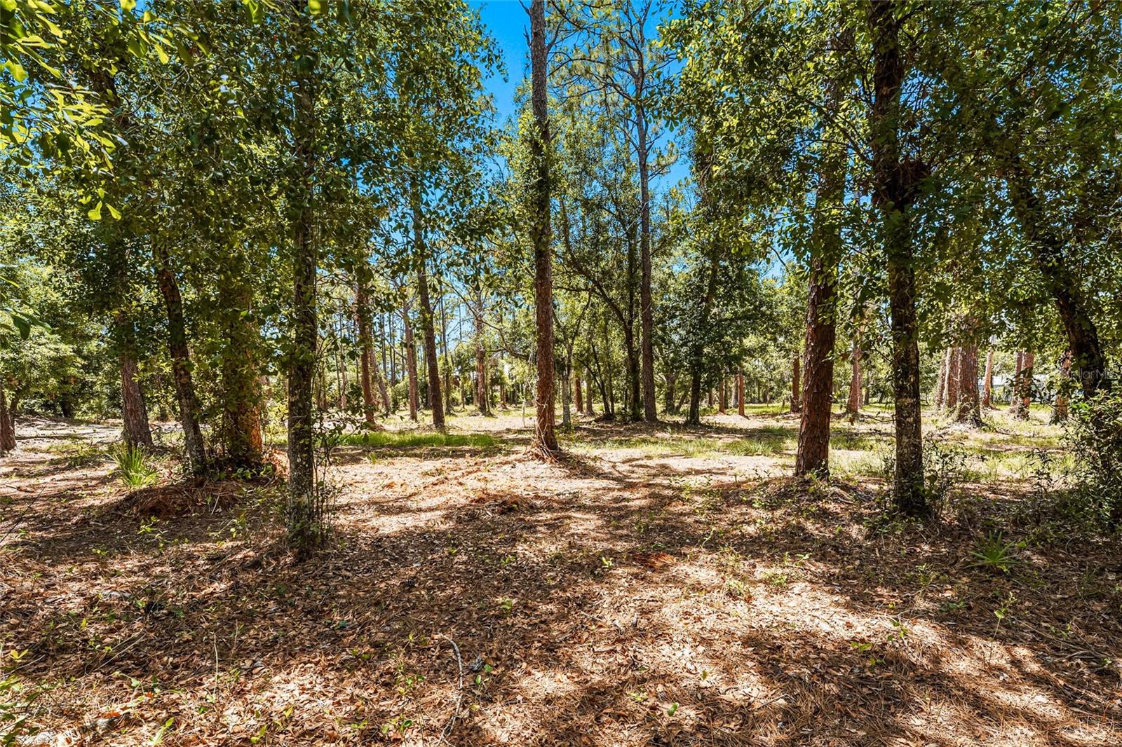 SARASOTA PLANTATIONS - Residential