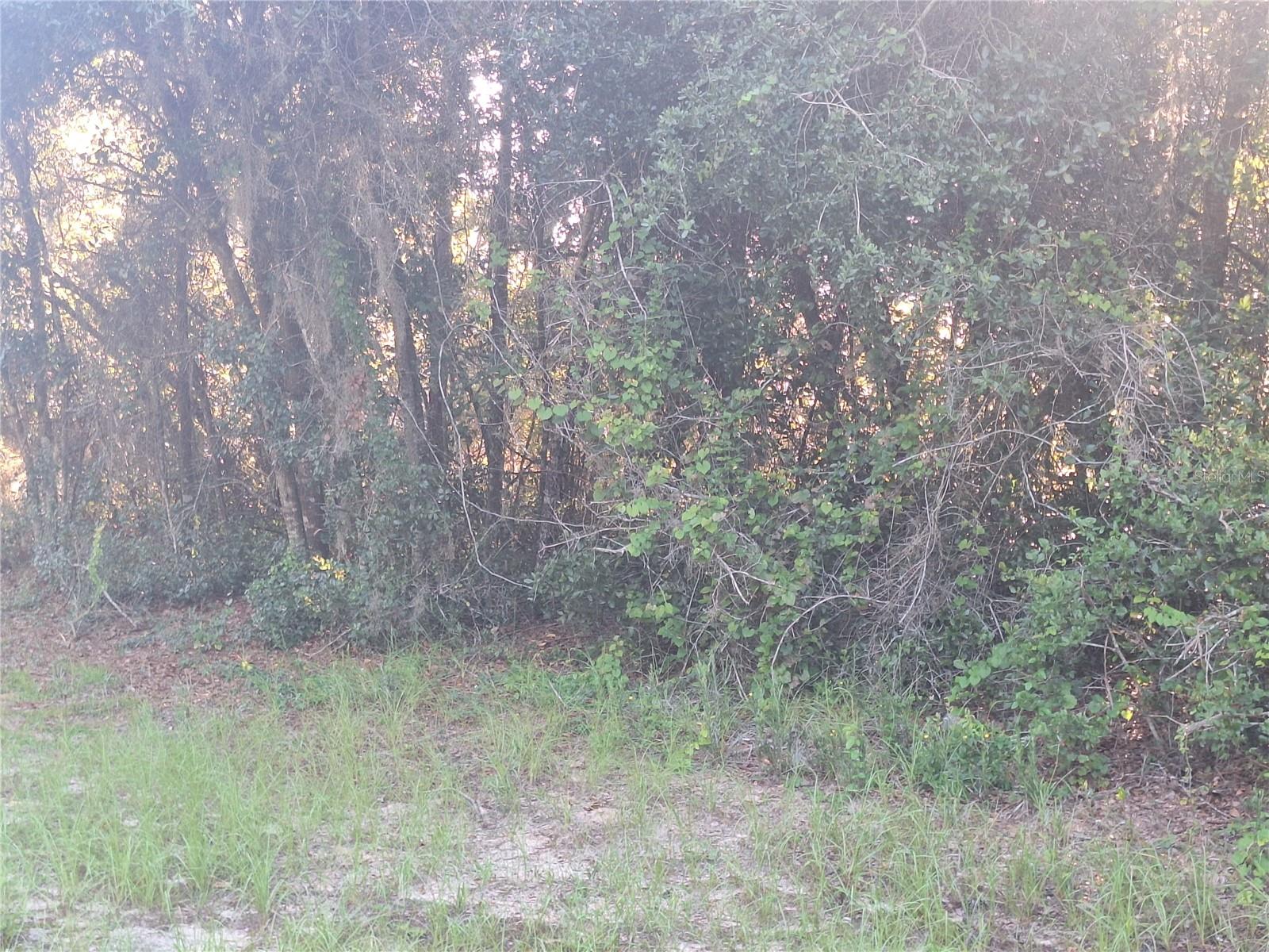 Own a slice of the commercial area with this parcel.