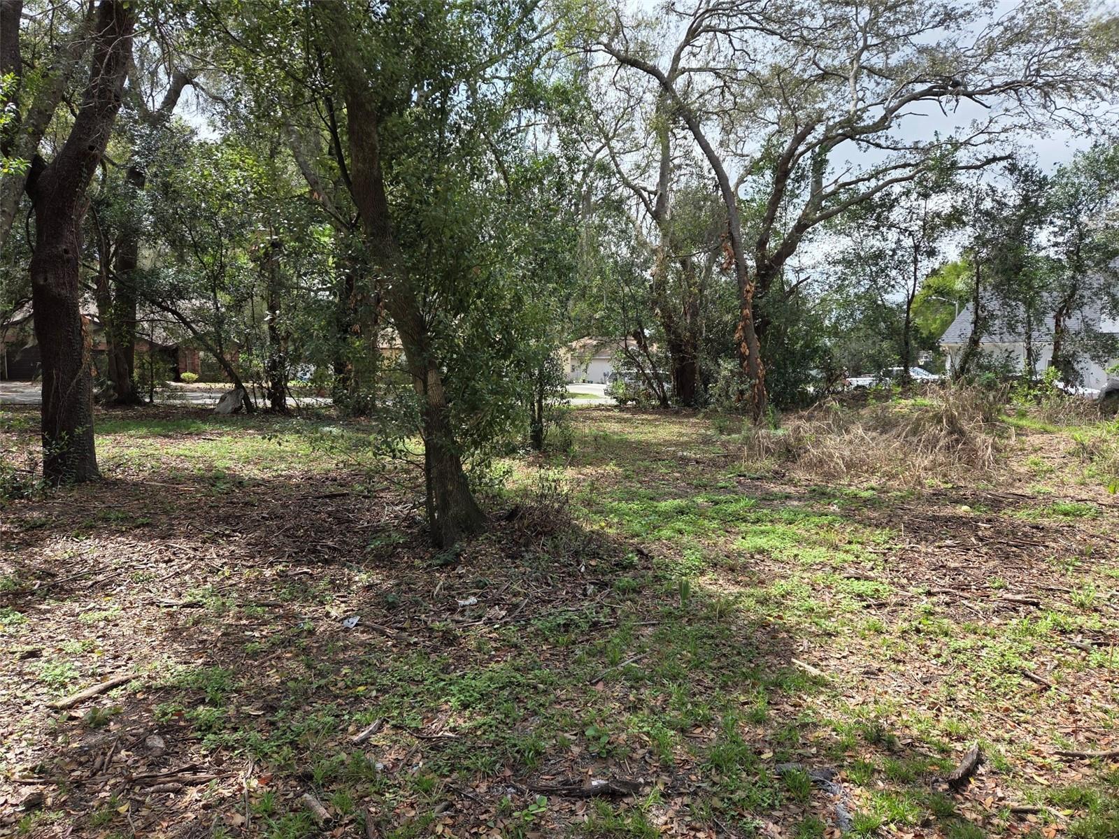 CHARLESTON OAKS - Land