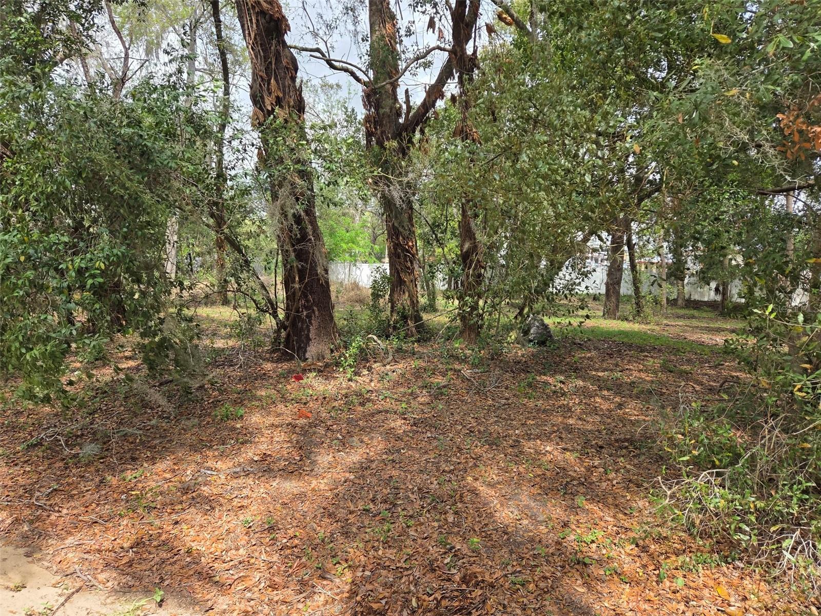CHARLESTON OAKS - Land