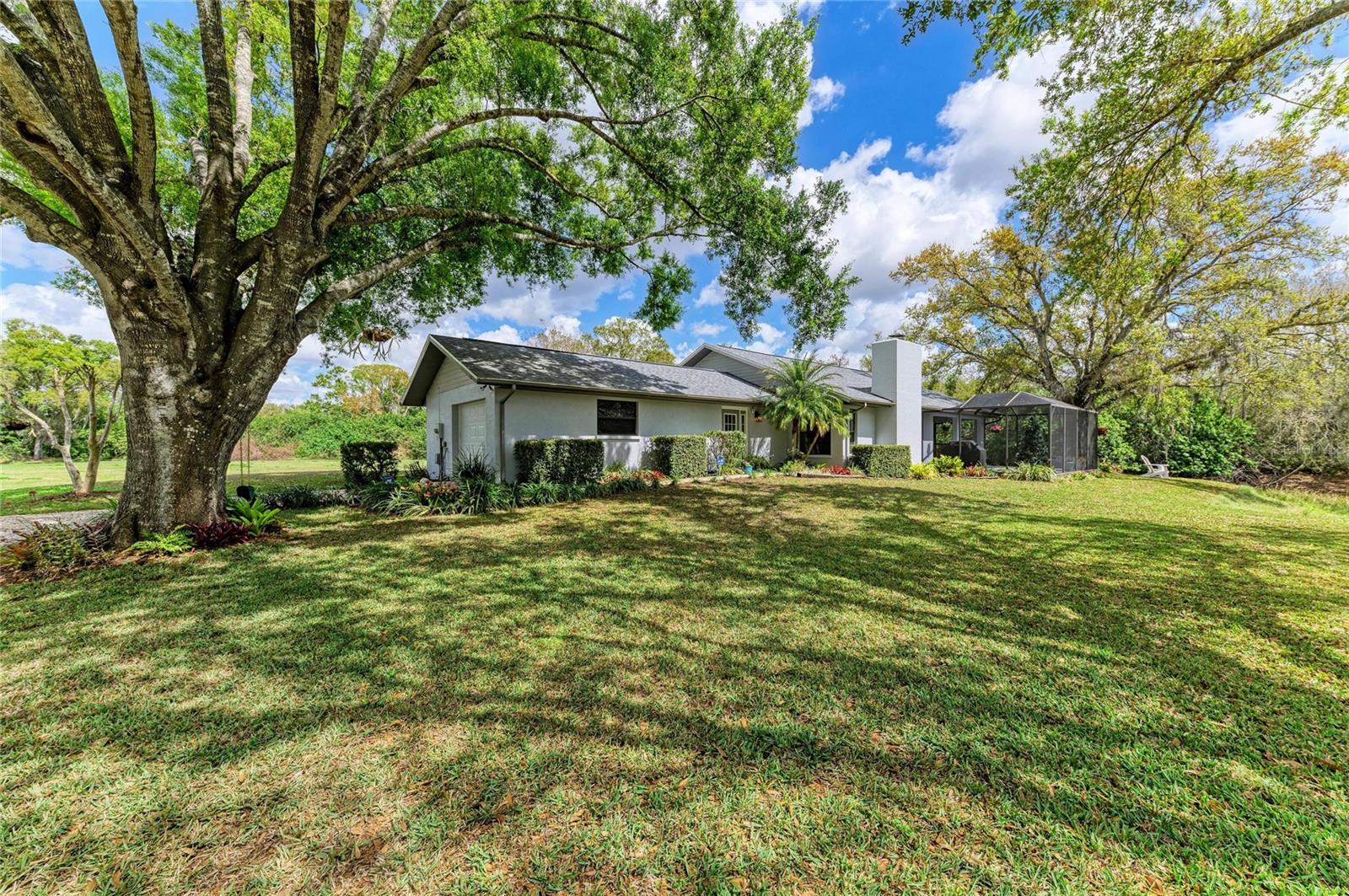 ELWOOD PARK - Residential