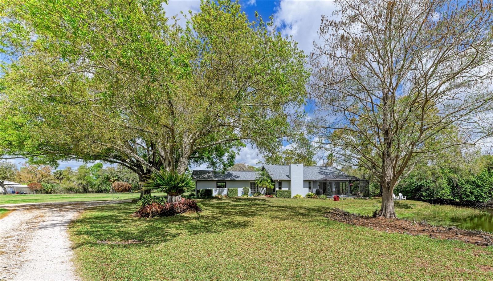 ELWOOD PARK - Residential