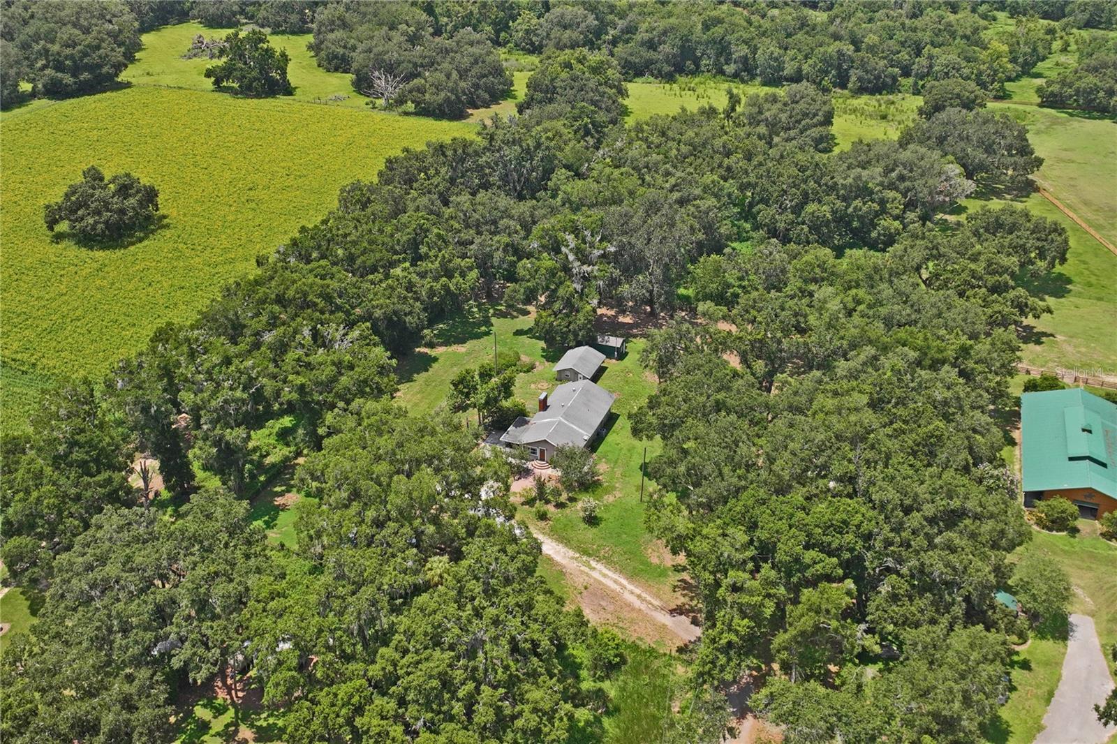 BLACKBURN PLATTED - Residential