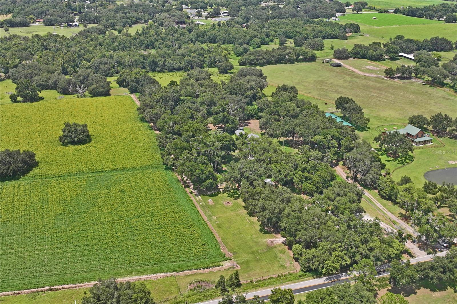 BLACKBURN PLATTED - Residential