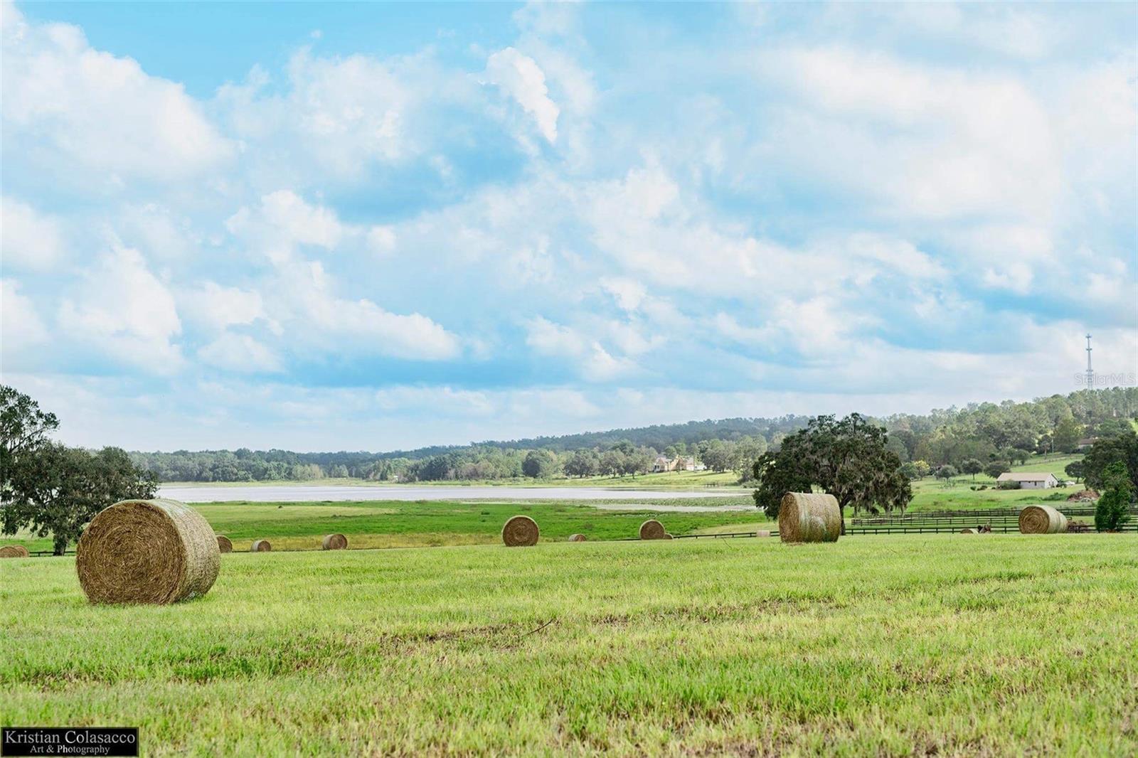 Discover one of Dade City’s most exceptional land offerings! This breathtaking 12-acre hilltop property boasts elevations exceeding 100 feet, providing panoramic views rarely found in Central Florida. Towering oaks, rolling terrain, and picturesque surroundings create the perfect setting for a luxury estate, equestrian retreat, or future residential development. The property is designated with RES-1 Future Land Use, one home an acre, making it an attractive opportunity for a family compound, subject to county approvals and applicable regulations. Conveniently located just minutes from downtown Dade City, shopping, restaurants, schools, and major highways, you’ll enjoy the perfect balance of peaceful country living with easy access to Tampa, Wesley Chapel, and Orlando. No deed restrictions, no HOA. 
No sign on the property but it's right before 36222 Covington.  The last vacant parcel on the right.