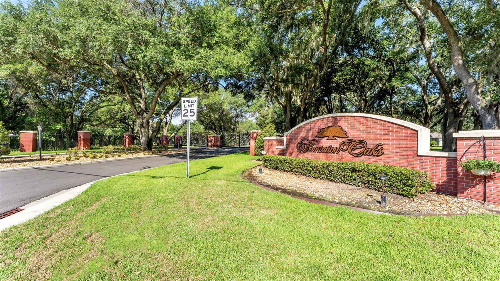 PLANTATION OAKS - Land