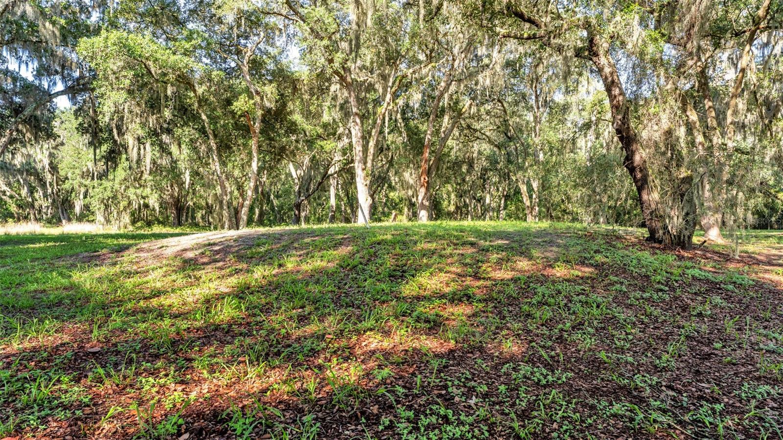 PLANTATION OAKS - Land