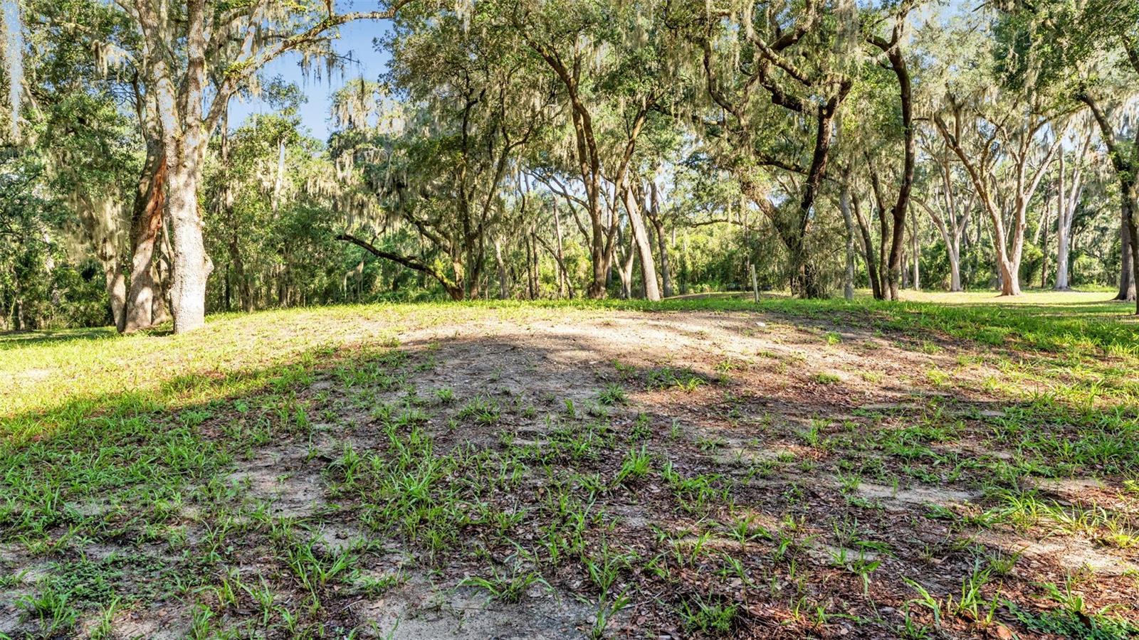 PLANTATION OAKS - Land