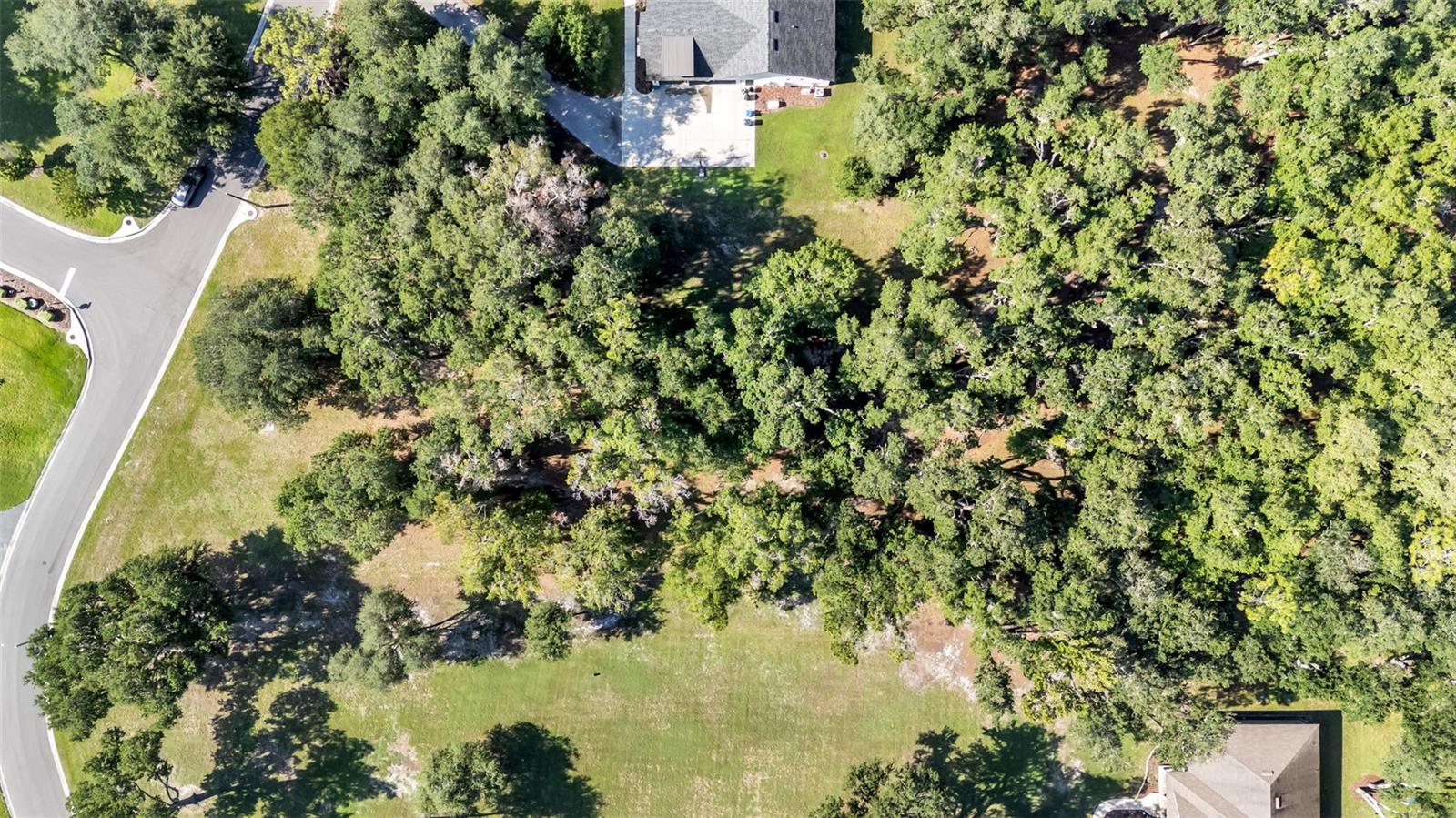 PLANTATION OAKS - Land