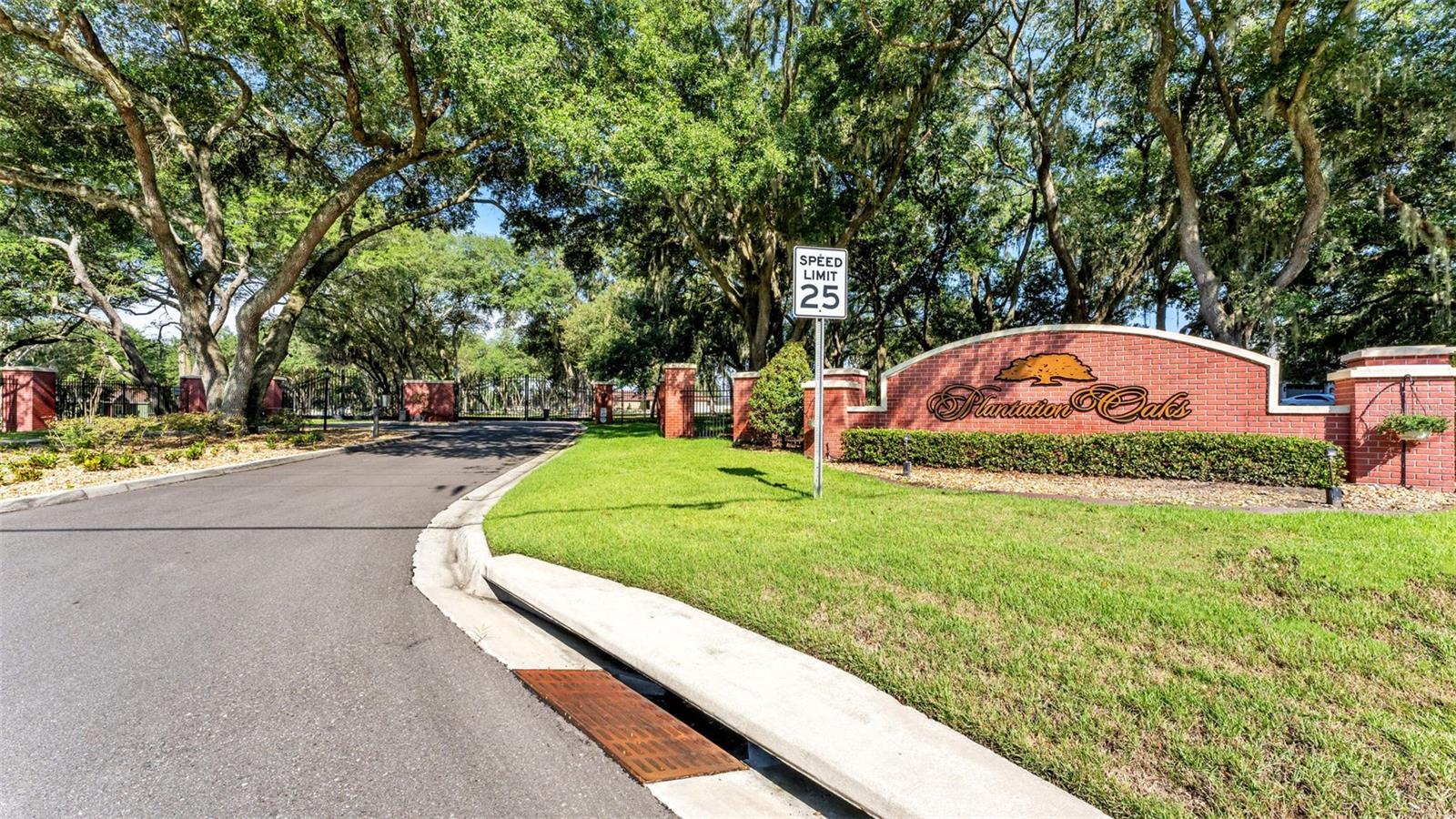 PLANTATION OAKS - Land