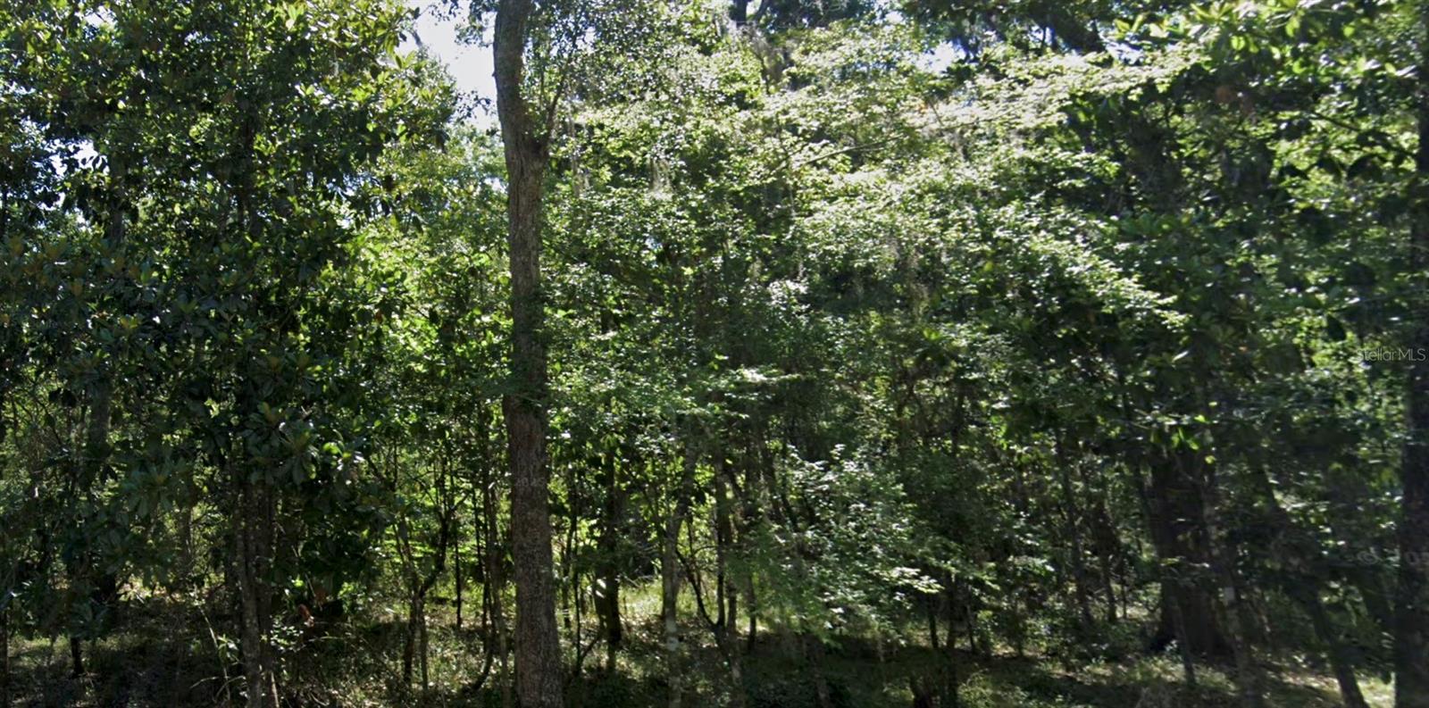 ROYAL OAKS ESTATE - Land