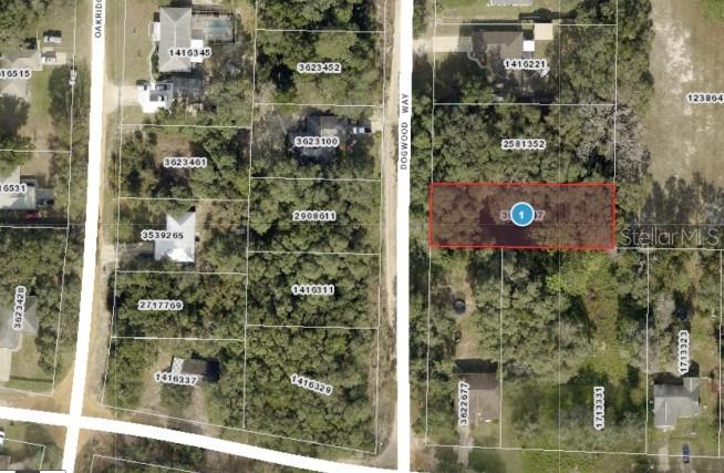 Down a Quiet and dirt road you will find the perfect location to build your Dream home in the quiet serenity of nature.  Bring those 4 wheelers and other toys for your outdoor sports.  Get out and away but still just and hour to Disney and short commute to Orlando.  The Villages or the coast.  Only minutes to shopping and dining in Leesburg, Eustis, Tavares and Mount Dora.