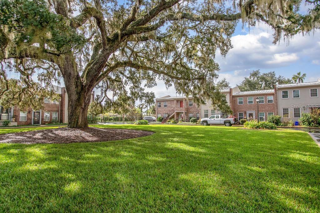 YORKFIELD SQUARE CONDO - Residential
