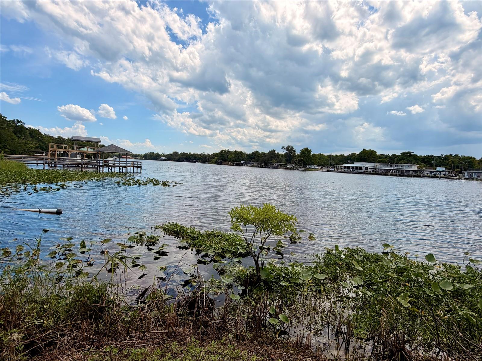 ASSESSORS LT 03 & 05 VOLUSIA - Land