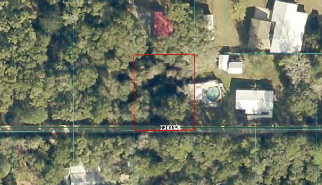 TABACCO PATCH CAMPSITES - Land