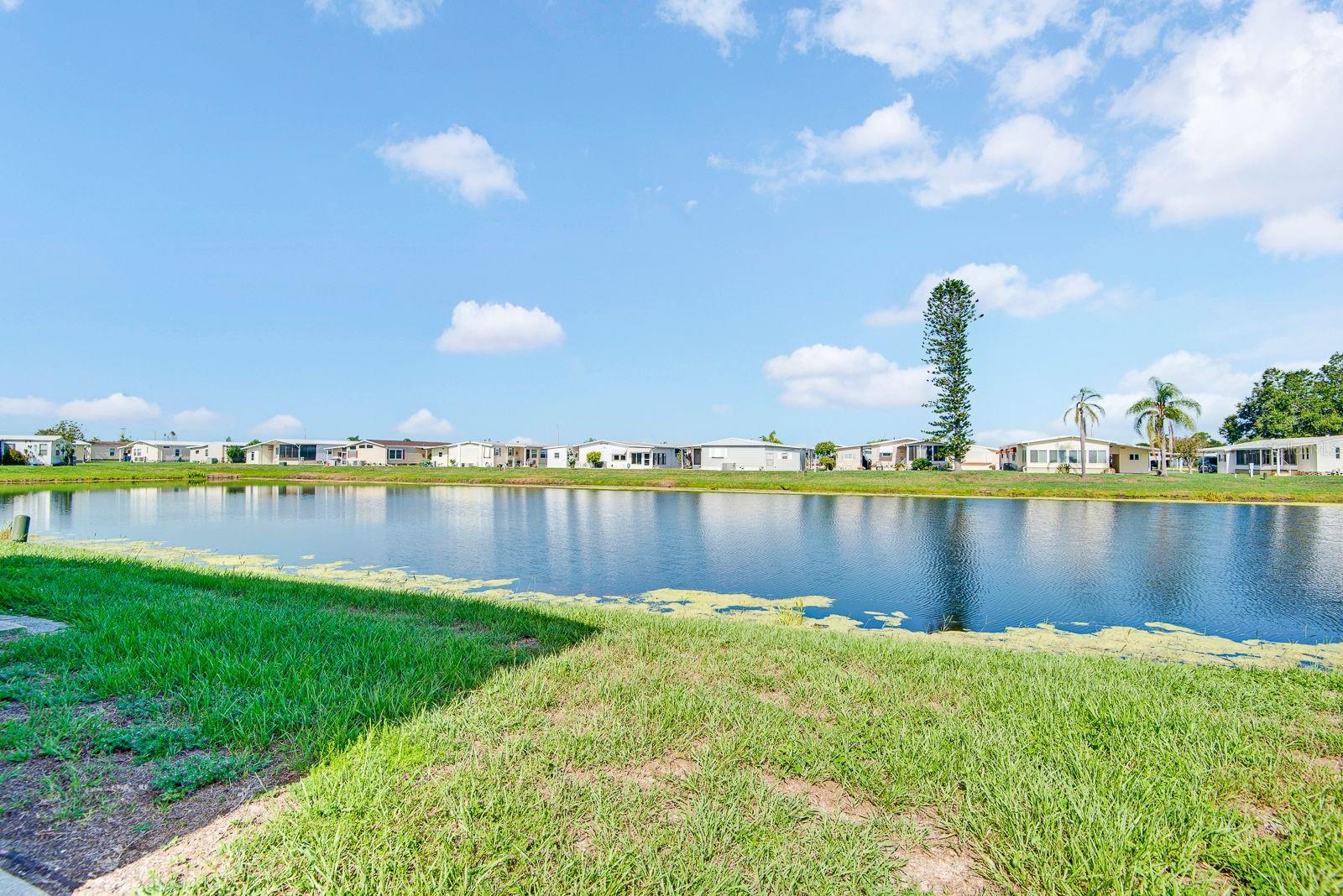PINEY POINT HOMEOWNERS CO-OP - Residential