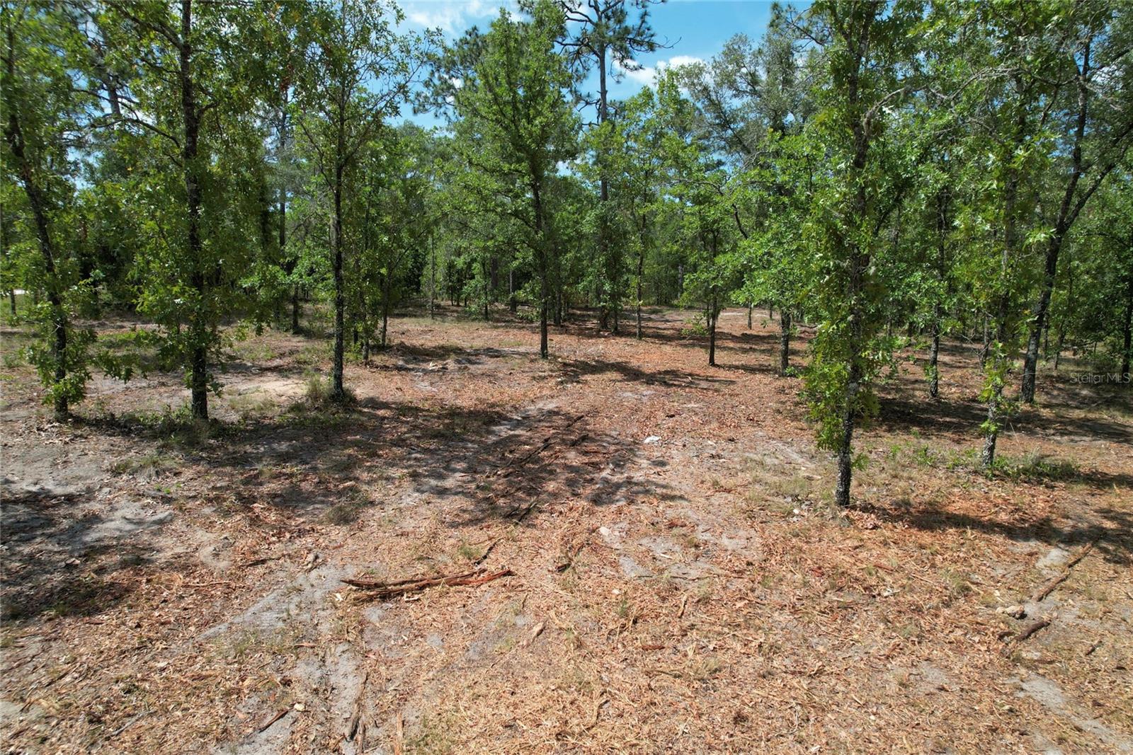 MORGAN FARMS SUB - Land