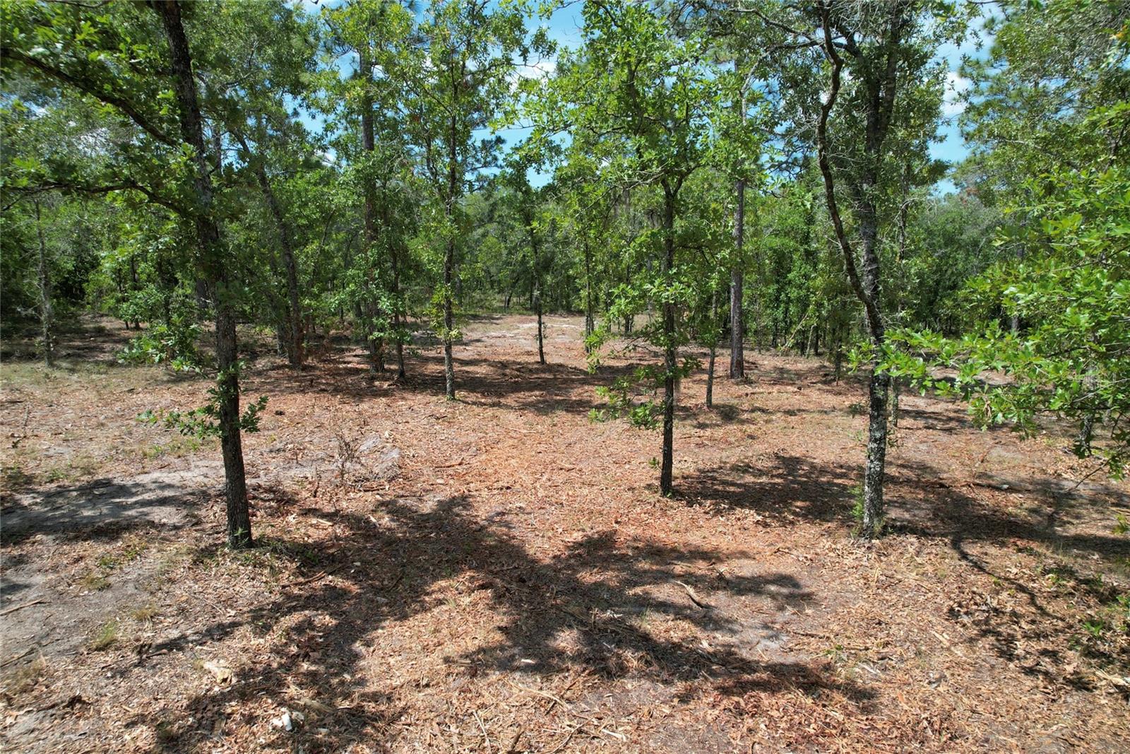 MORGAN FARMS SUB - Land