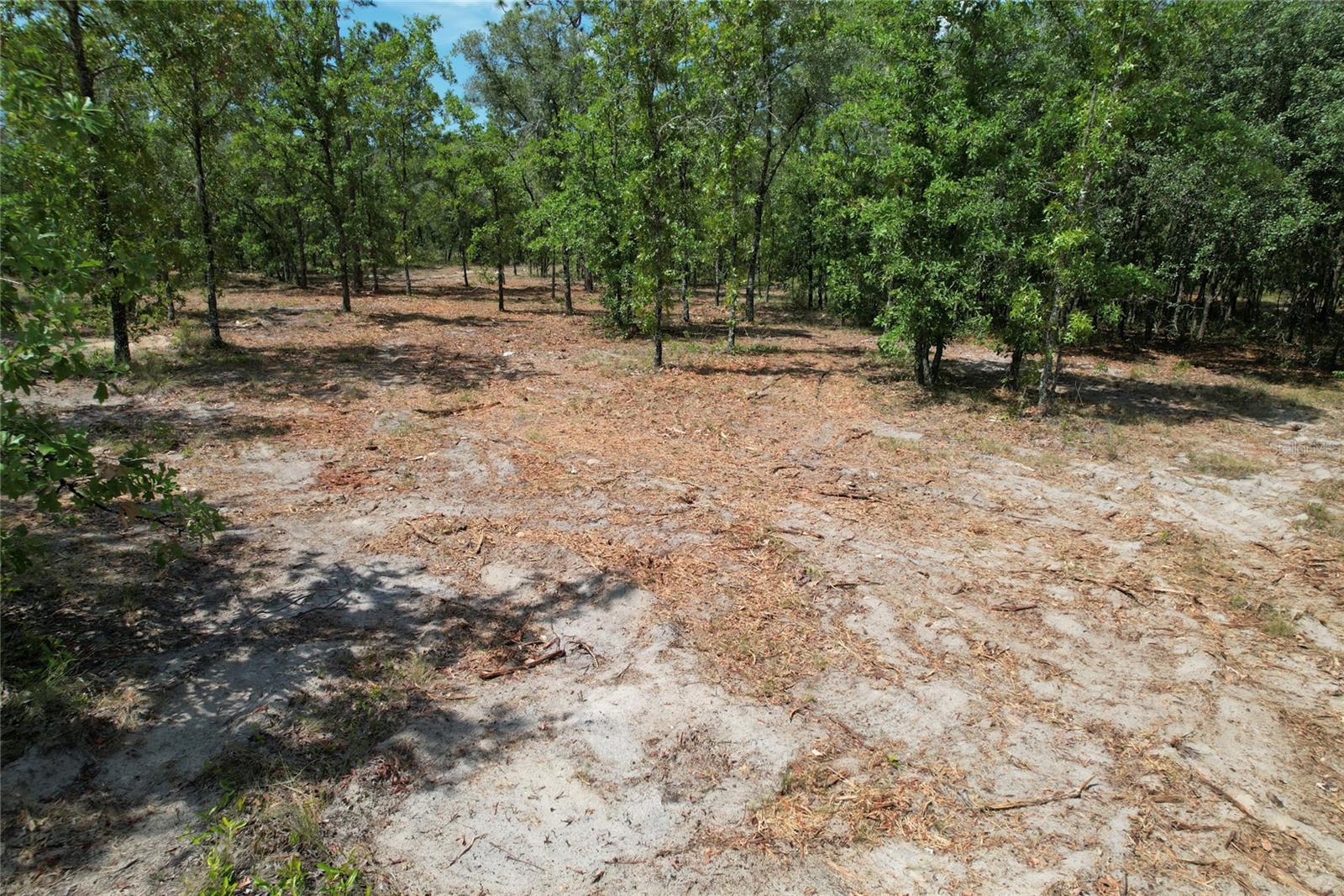 MORGAN FARMS SUB - Land